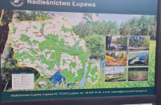 Czytaj więcej: Nowe ścieżek wzdłuż rzeki Łupawa